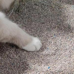 China Crushed Strong Clumping Ore Litter 100 Percent Dust Free Cat Litter factory