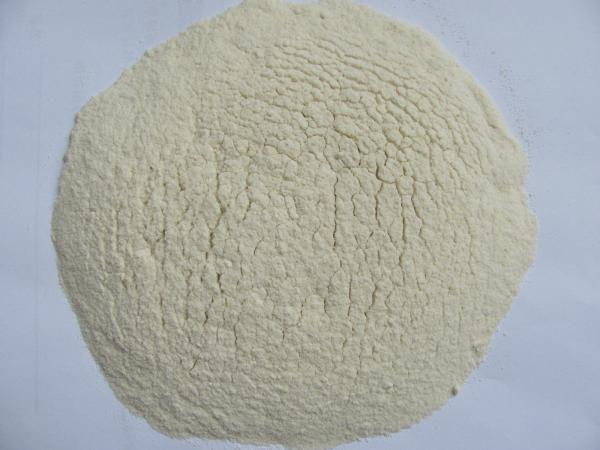 dehydrated garlic granule/garlic flake/garlic powder