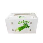 PP PE Mango Corrugated Box Polypropylene Corflute Storage Boxes