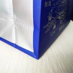Eco Friendly Non Woven Shopping Bags Silk Screen Non Woven Shoe Bag