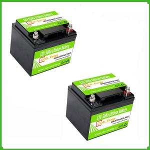 China 12v 50ah 80ah 100ah lifepo4 battery pack lithium ion battery 12v for motor homes/ marine industry factory