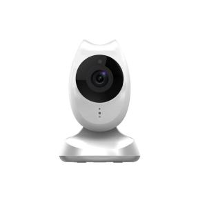 China 2.4Ghz HD VGA Video Monitor Baby Monitoring Display Wireles 4.3 Inch Screen factory
