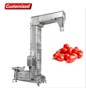 China Chemical Industry Z Bucket Elevator Scraper Conveyor for All Kinds of Powder Granule factory