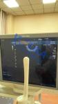 Canon Toshiba Aplio 300 Endocavitary OB/GYN,Abdomen ultrasound probe PVT-781VT