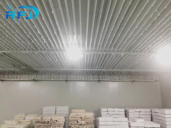 Fresh Keeping Industrial Cold Room Cold Storage Adjustable Temperature 3 Years