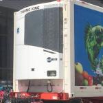 R452A 40ft Container Thermo King Refrigeration Units Trailer Equipment