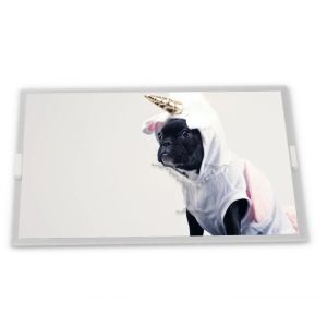 China High Resolution stock Compatible 8.9-Inch WLED LCD Display Module 640*240 ODM KCG089HV1AA-G00 Modules factory