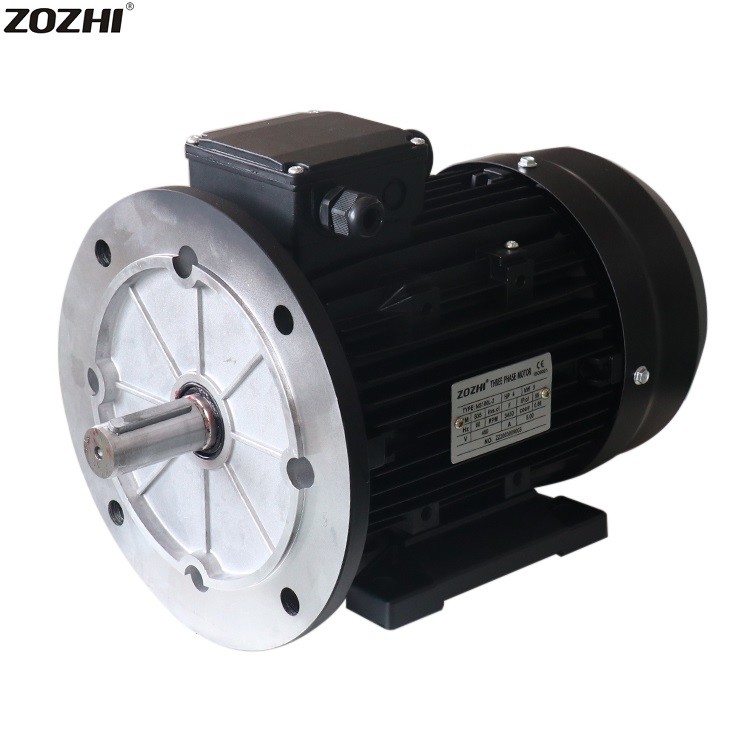 3 Phase Induction Motor 220V/380V/440V/550V/660V for Industrial Automation Needs