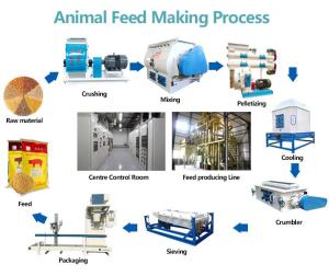 China 15TPH To 18TPH Poultry Feed Production Line Grain Crushing Mixing Machine factory