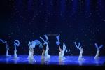 IP33 LED Star Curtain for Wedding Bar DJ Church Showcase Game Room Event
