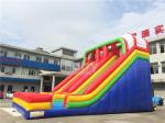 PVC Tarpaulin Rainbow Double Lane Inflatable Water Slides For Children