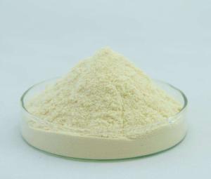 China Cerium Zirconium Lanthanum Neodymium solid Rare Earth Catalyst factory