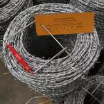 Roll Single Twisted Concertina Barbed Wire Neat And Bright In Color