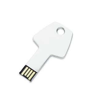 China Key USB Flash Drives Mini Size 1GB 2GB 4GB 8GB with Logo Printed factory