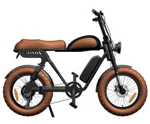 China 20 Inch Fat Tire 73 Style Ebike 7 Speed Electric Mountain Bike 48V 500W 750W 1000W Retro Full Suspension Electric Bike factory