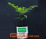 Planter Bags, Grow Bags, Cultivating Bags, Nursery Pot, Greenhouse, Agricultural