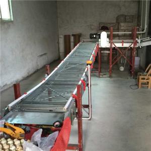 China high Farming Efficiency Automatic Egg Collection System Stable running factory