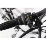 Lightweight 10kg Classic Bicycle / City Bike 6-Speed With Platform Pedals Steel