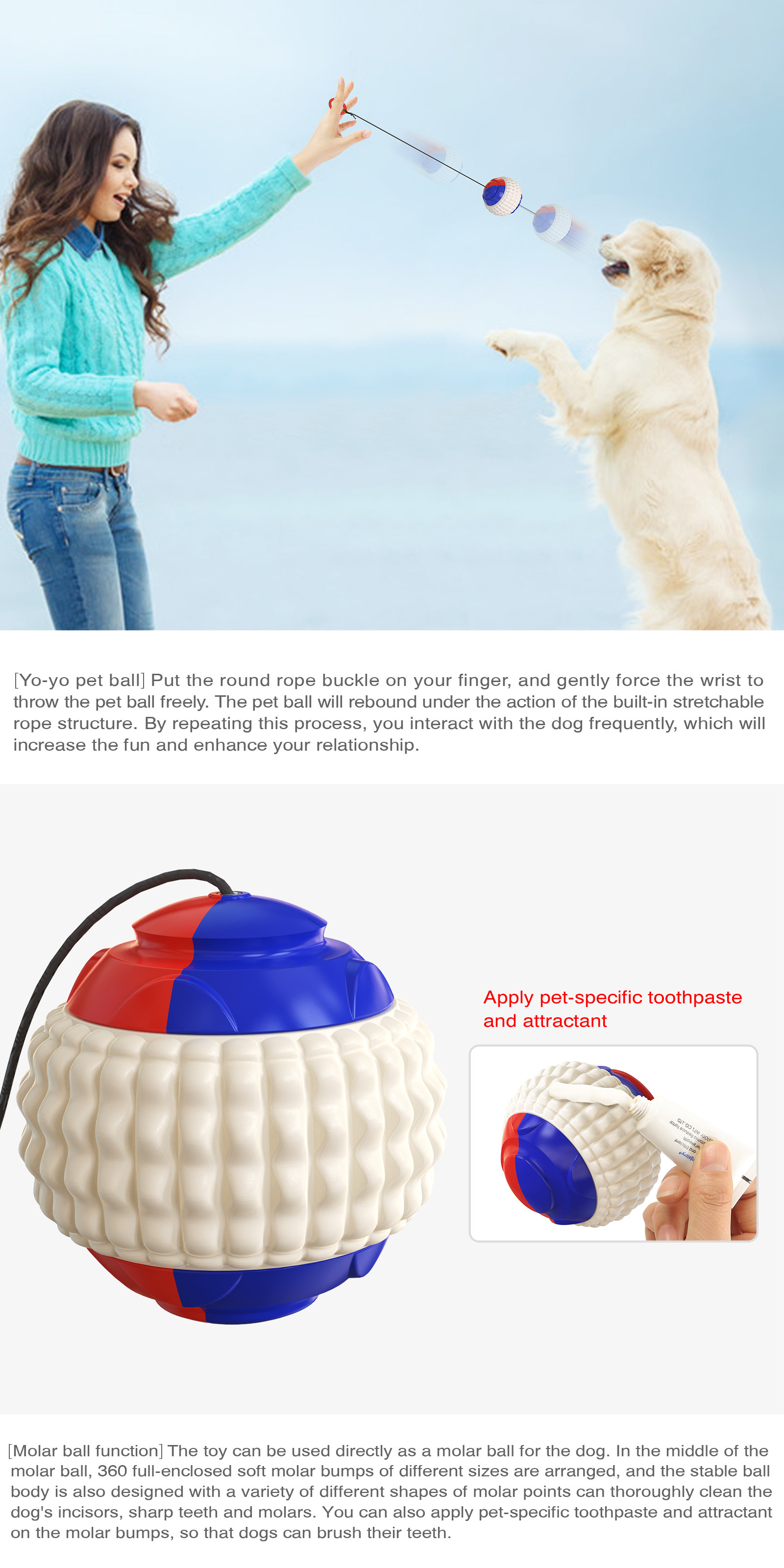 Hand Throwing Interactive Pet Toys Molar Teeth Dog Training Ball 80g OEM