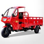 250CC Petrol Gasoline Closed Three Wheels Motorcycle for Heavy Duty Cargo