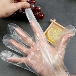 Disposable Plastic/PE Gloves