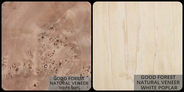 Tree Burl Wood Veneer Natural White Poplar Veneer Sheets Excellent