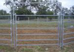 Australia Standard 6 Rail Steel Cattle Fence 40x80 Oval Rail Metal Livestock