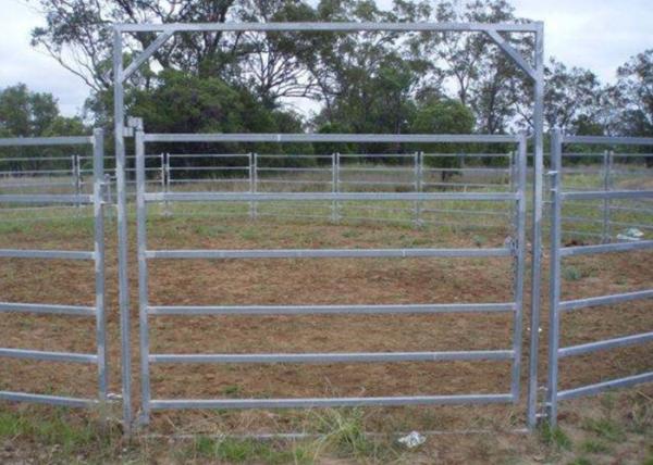 Australia Standard 6 Rail Steel Cattle Fence 40x80 Oval Rail Metal Livestock