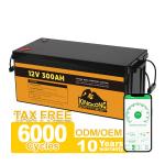 24V 12V Lithium Ion Battery Pack 12.8V 100Ah 200Ah 300Ah For Solar Applications