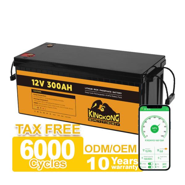 24V 12V Lithium Ion Battery Pack 12.8V 100Ah 200Ah 300Ah For Solar Applications