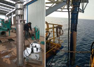 China Sea Water Deep Well Submersible Pump 75kw 100hp SS316L Material 60m Head factory