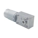 58mm*40mm pmdc DC Worm Gear Motors High Torque 12V 24V 40rpm