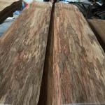 Dramatic-looking African Etimoe Wood Veneer for Furniture Door Panel from
