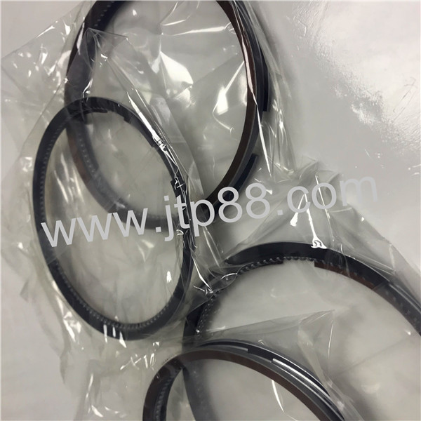 High Performance Diesel Engine Piston Rings For NISSAN RF8 OEM 1204097104