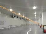 Commercial Frozen Food Refrigerator Freezer 5000t Tomato Cold Storage Room For