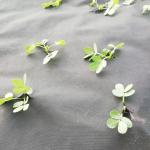 Anti Grass Spunbonded 120gsm Weed Barrier Fabric