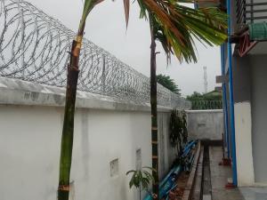 China Cbt-60 Concertina Galvanized Razor Barbed Tape Wire factory