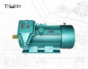 China 6 Poles Flame Proof Three Phase Asynchronous Motor 10000V factory