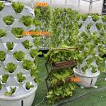 65L 14 Layer 112 Holes Agriculture Greenhouse Vertical Growing Towers Vertical