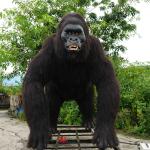Outdoor Realistic Animatronic Animals Gorilla Model Natural Color