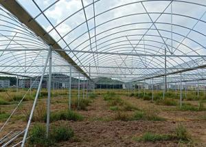 China Greenhouse Round ERW Steel Pipe , Hot Dip Galvanized Steel Pipe Good Reliability factory