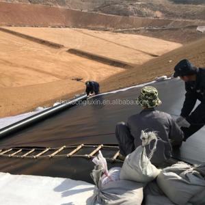 China Outdoor Plastic Water Dam Reinforced Polyethylene Pond Liner Geomembrane Hdpe Liner Roll factory