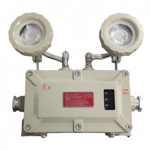 China Efficient Intrinsically Safe Explosion Proof Emergency Light on sale