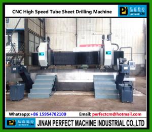 China High Speed CNC Drilling Machine for Tube Sheet (Model PHD3030-2) factory