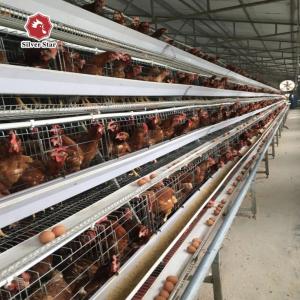 China 90/192 Birds HDG Battery Layer Chicken Cage System H Frame factory