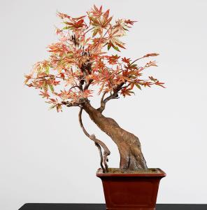 China Red Chinese Style Artificial Potted Floor Plants Hotel Desk Decor Maple factory