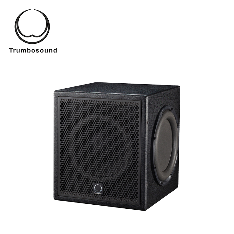 Active subwoofer box 10 " bass loudspeaker with amplifier indoor pro sound loudspeaker TR10BA