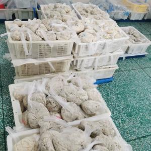 China Grade A Lamb Sausage Casing IOS 9001 Certified No Additive factory