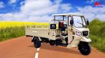 250cc 300C Cargo Tricycle Motorized Tricycle Gasoline 3 Wheels Motorcycle in