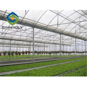 UV Radiation Protection Layer 120km/H Multi Span Greenhouses